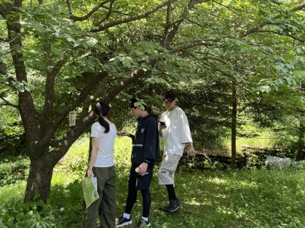 국립횡성숲체원, 산림복지서비스이용권 대상 숲체험 캠프 운영