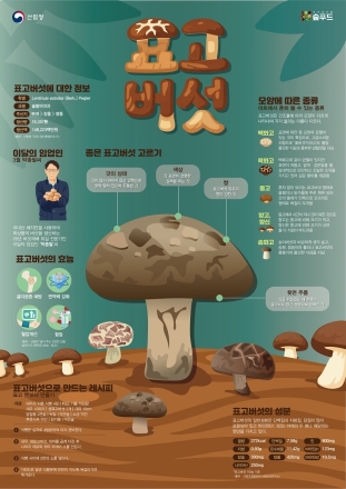산림청, 3월 이달의 임산물 ‘표고버섯’ 선정