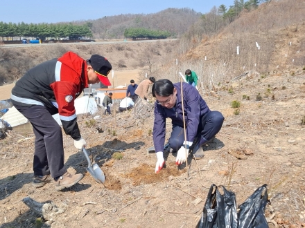 제천시 식목일 행사…밀원수 3000본 식재