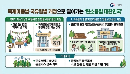 목재이용법·국유림법 개정…국산목재 활용 기반 강화