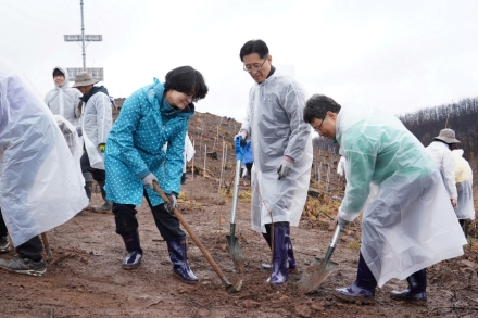 박은식 산림청장, 안동 산불피해지 나무심기 행사 참여