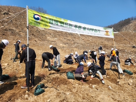 홍천국유림관리소, 식목일 맞아 나무심기 행사… 26만 그루 조림 추진