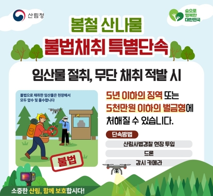산림청, 봄철 산나물 불법 채취 집중 단속…드론 활용 강화