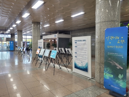 한려해상국립공원, 사천바다케이블카서 상괭이 사진전 개최