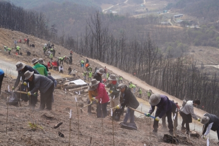 산림청, ‘범국민 나무심기’ 확산…연말까지 1만8천ha 조림 총력