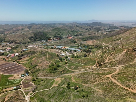 산림청, 대형산불피해지 조림복원사업 실태조사 실시
