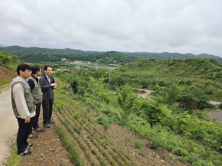 이상익 산림청 산림산업정책국장, “대형산불피해 조림복원 및 사후관리 등 현장점검” 실시