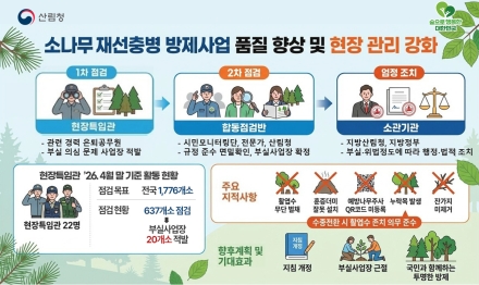 산림청, 재선충병 방제사업 상시 점검체계 구축…부실시공 엄정 대응