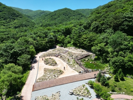 국립DMZ자생식물원, 북한식물전시원 특별 개방…한반도 식물다양성 가치 공유