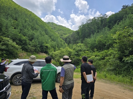 북부지방산림청, 인제 산불 피해지 복구·생태회복 현황 점검