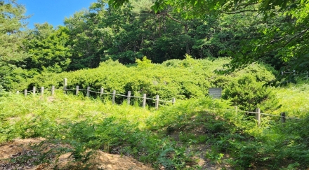산림청·전북도, 천연기념물 유전자원 보전 협력 강화