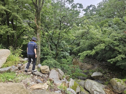 강릉국유림관리소, 여름철 산림 내 불법행위 집중단속