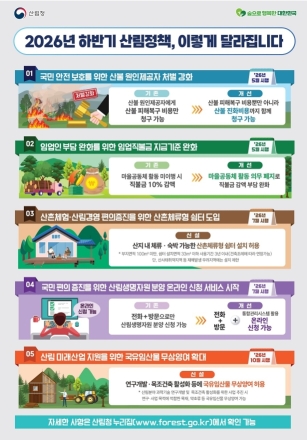 산림청, 하반기 산림정책 개편…산불 처벌 강화·임업인 부담 완화