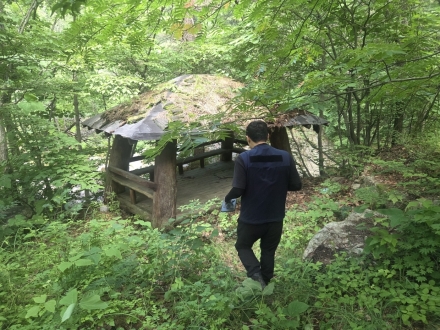 삼척국유림관리소, 여름 휴가철 산림 불법행위 집중단속