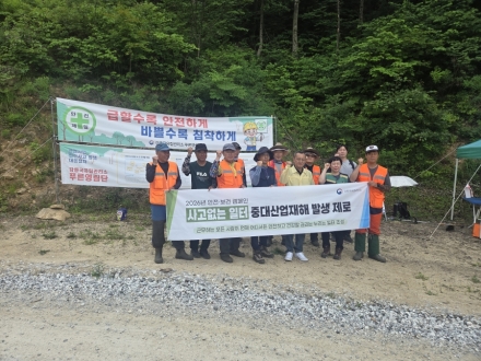강릉국유림관리소, 조림지 풀베기 사업 본격 추진…안전관리 강화