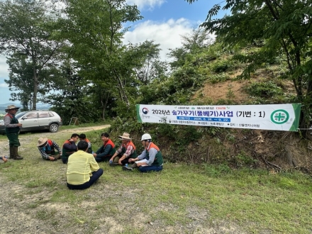 정읍국유림관리소, 폭염 속 조림지 작업장 안전점검 강화