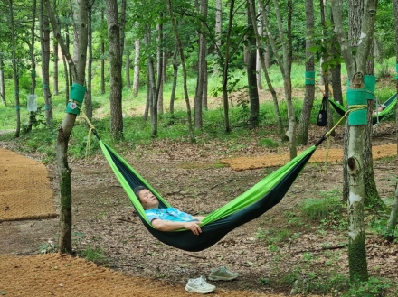 국립춘천숲체원, 전국 교원 대상 산림교육 직무연수 운영