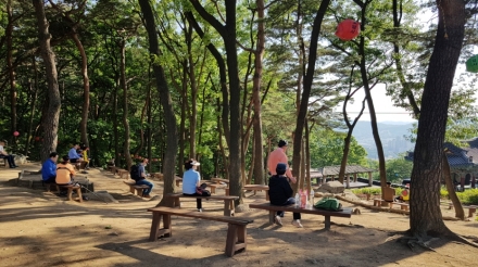 국립산림과학원, 도시숲 많을수록 여름철 열섬 완화 효과 확인