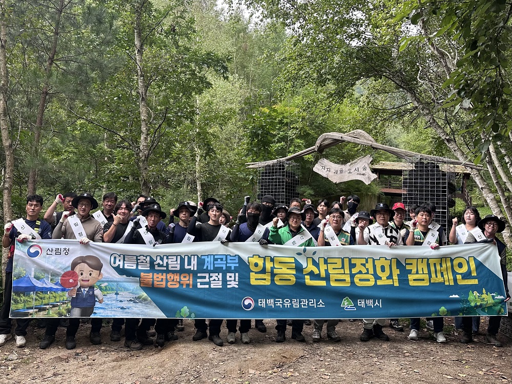 태백국유림관리소, 지지리골계곡 산림정화·불법행위 단속 추진