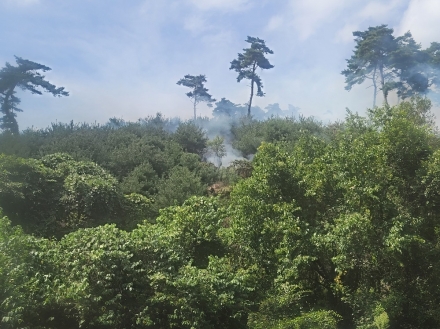 전북 임실군 산불 58분 만에 진화 완료