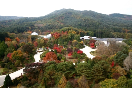 산림청·국립수목원, 광릉숲 등 산림 5곳 OECM 국제 등재