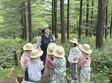 태백국유림관리소, 유아들과 함께 숲의 가치 체험