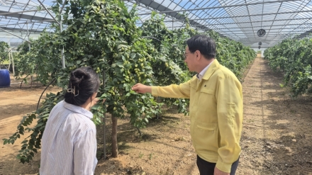 산림청 차장, 안성 대추 재배임가 찾아 임업인 민생현장 점검