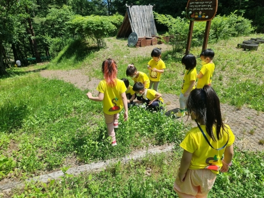민북지역국유림관리소, 「배꼽 유아 숲탐험대」 대모집!