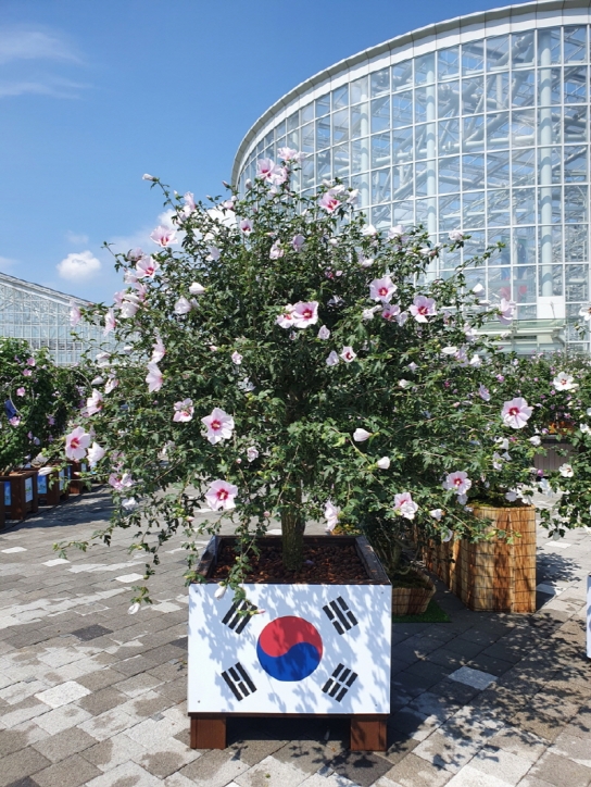 2021년 전국 최고의 무궁화 분화 14개 선정
