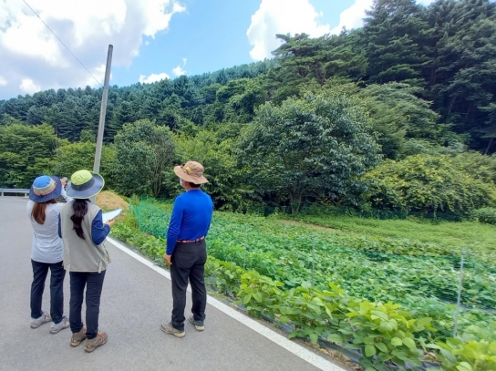 수원국유림관리소, 국유임산물(잣종실) 양여 추진