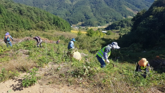 순천국유림관리소, 덩굴류 집중제거 기간(9~10월) 운영