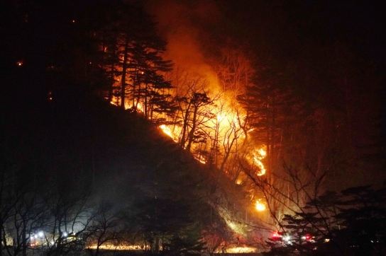산불관련 한국임업인총연합회 입장문 발표
