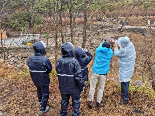 강릉국유림관리소, 농림지 동시발생 병해충 공동방제 추진