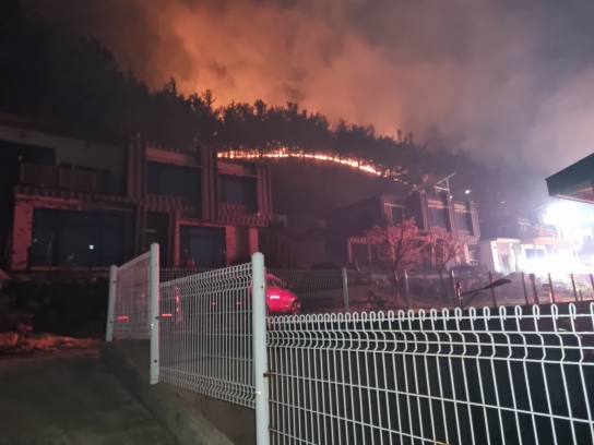 <1보> 경북 영덕군 산불발생 .. 산림당국 진화중