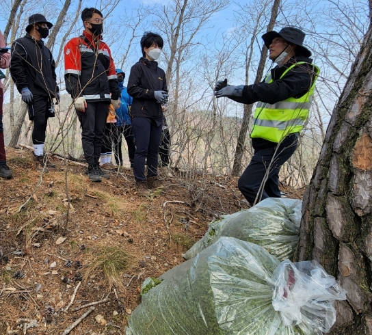 산림청, 울진 산불피해지에서 산양 먹이주기 활동