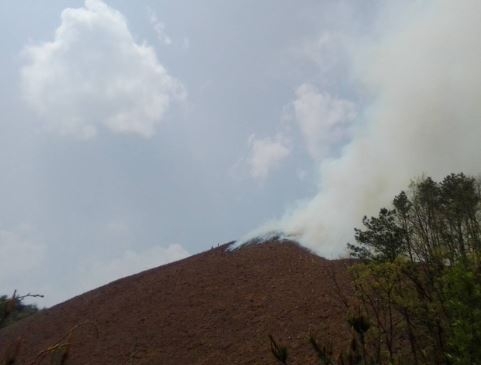 <1보> 충남 공주시 산불발생... 산림당국 진화중