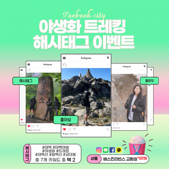 ‘태백 야생화 트레킹’ 해시태그 이벤트 실시