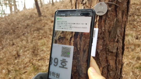국립산림과학원, DNA 바코드로 나무를 관리한다