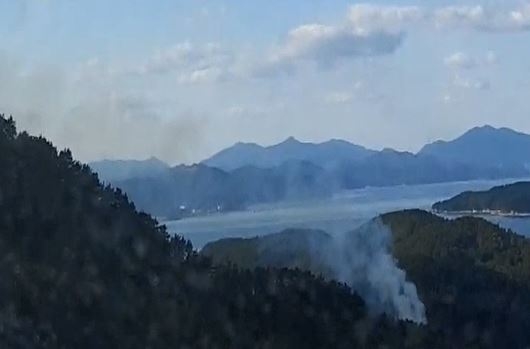 경남 거제 산불발생... 1시간 46분만에 진화완료