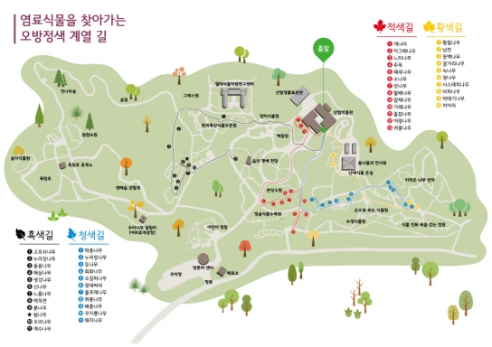 염료와 함께 떠나는 가을 여행!