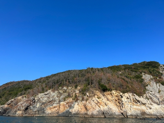 한국임업진흥원, 국립공원 등 남해안 도서지역 소나무재선충병 조사 완료