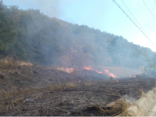 경남 거제 산불발생... 2시간만에 주불 진화완료