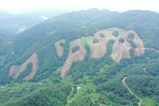 친환경적인 목재수확 및 산림위성 활용 근거 마련