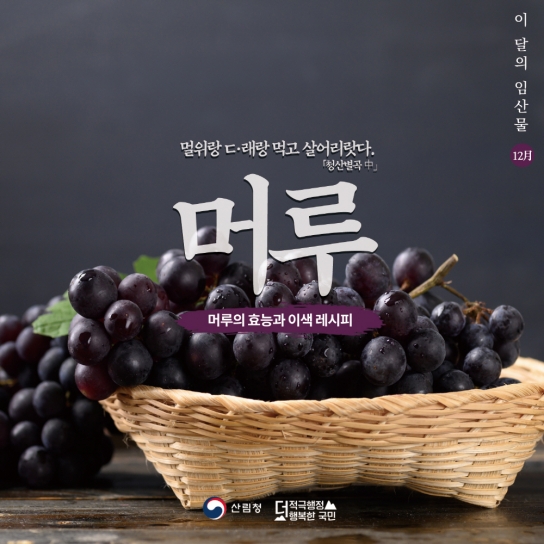 12월 이달의 임산물 ‘머루’