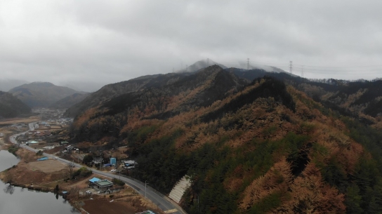 울진․삼척지역 산불피해지 산림생태복원 추진