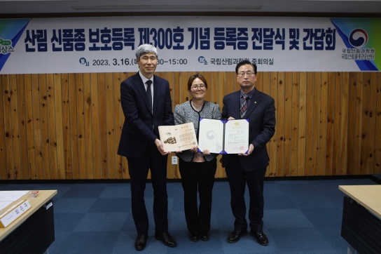 산림 신품종 제300호, 한국잔디 신품종‘세영’등록