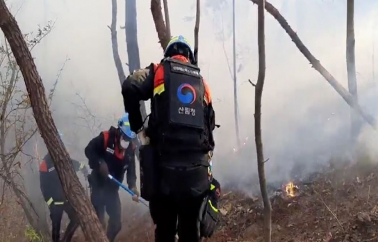 전북 정읍 산불.... 산림당국 3시간만에 진화 완료