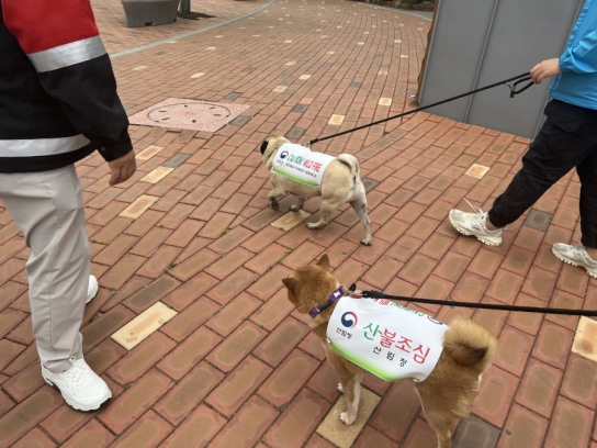순천국유림관리소,“반려견과 함께하는 산불예방 캠페인 실시”