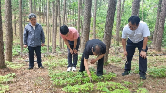 산양삼 재배 현장의 규제개선을 위한 현장 소통