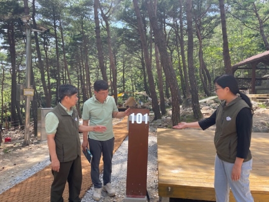 국립칠보산자연휴양림! 숲속 야영장 현대화 사업으로 새롭게 단장